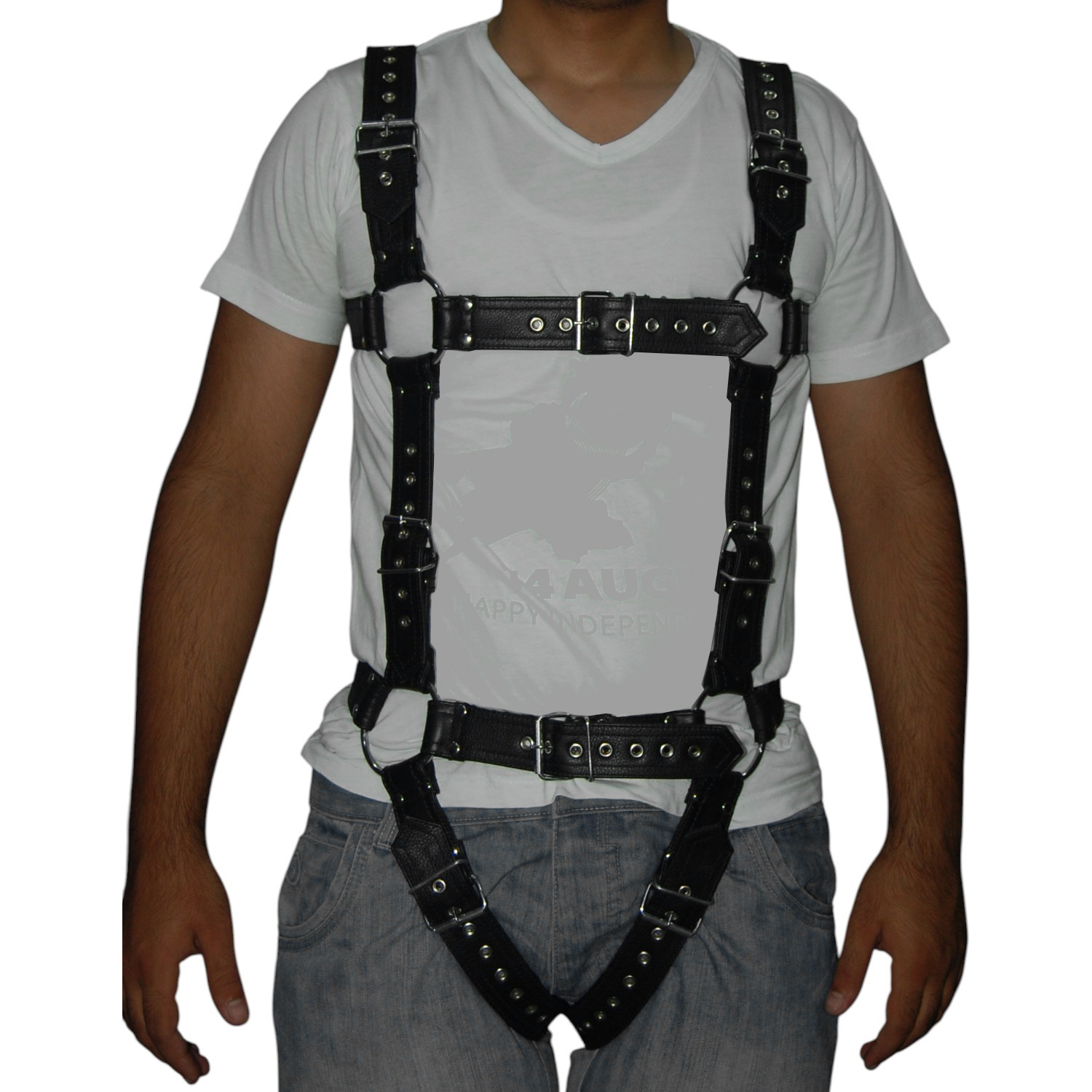 Harness