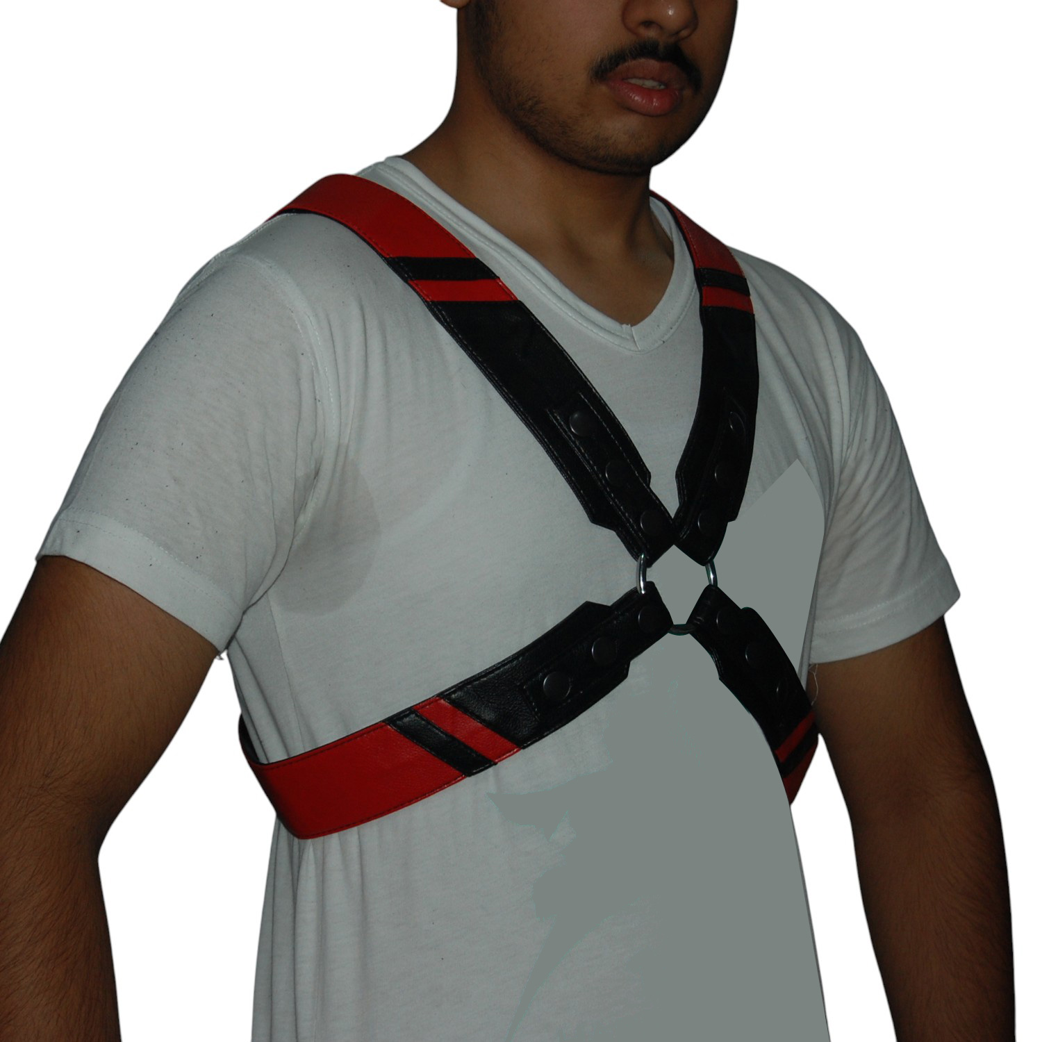 Harness